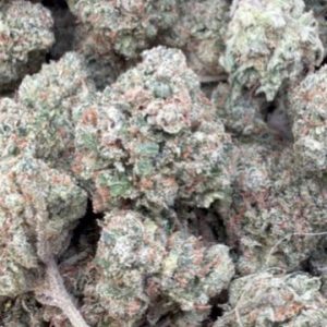 Citrus Kush - Bulk - Indica