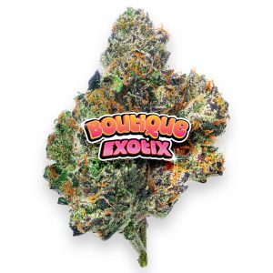 Boutique Exotics Obama Runtz - 4 Grams - Hybrid