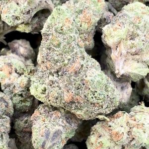 Gusher Mintz Littles - Bulk Littles - Hybrid