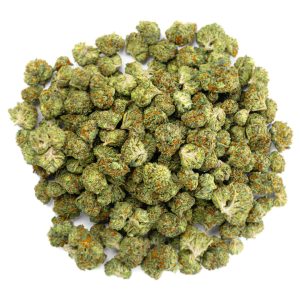 Gelato 41 - 28 Grams Littles - Hybrid
