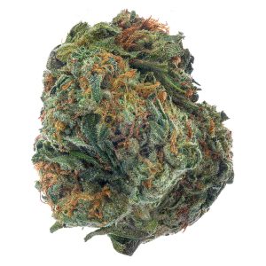 ZAZA - SFV OG  - 14 Grams - Indica